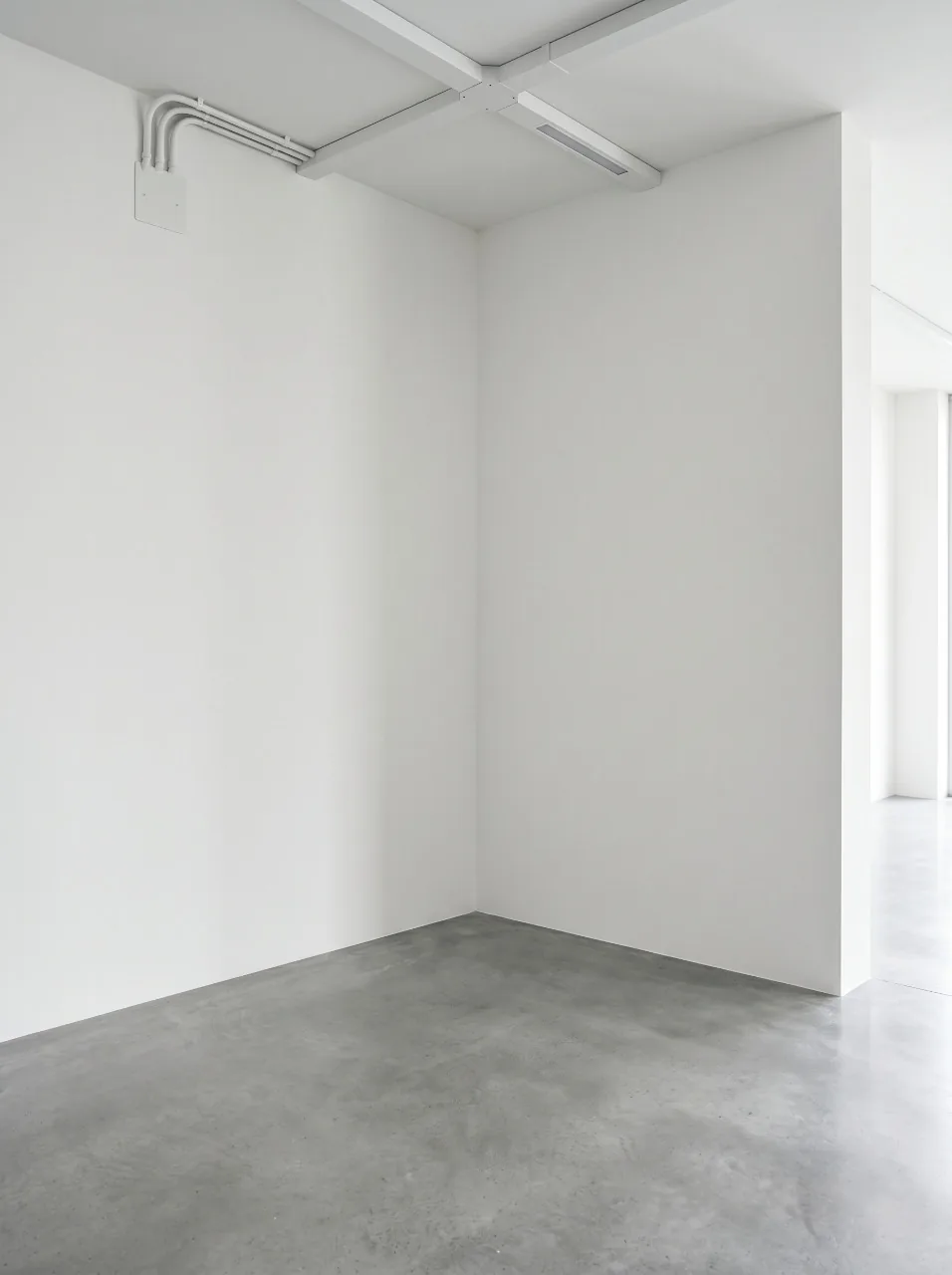 Стены в новостройке после покраски